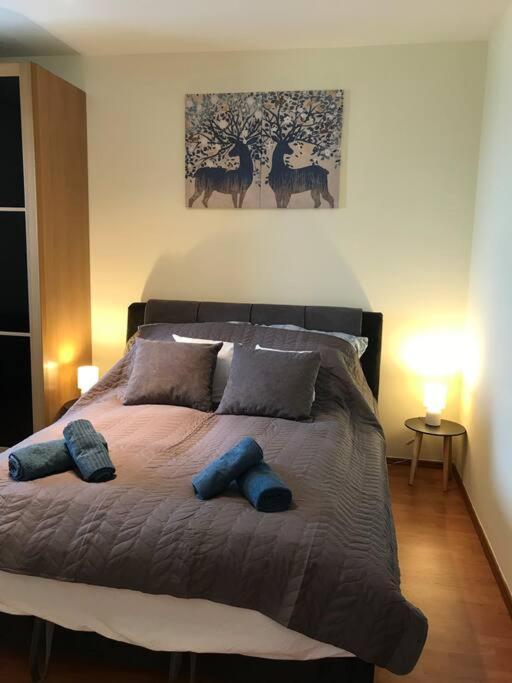Arena Apartman *