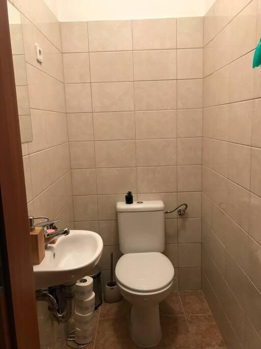 Arena Apartman *